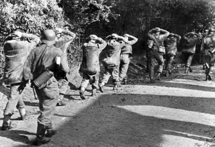 II. WK, Western Front, Operation Market Garden 1944 (photo)