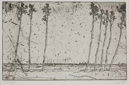 Landschaften, or Landscapes, 1970 (etching)