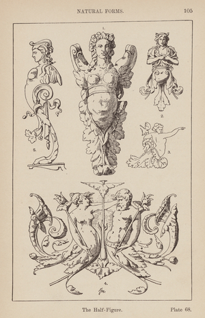 Ornament: Natural Forms, The Half-Figure (engraving)