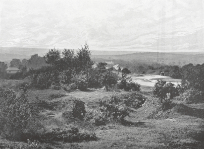 View from High Beech, looking West (b/w photo)