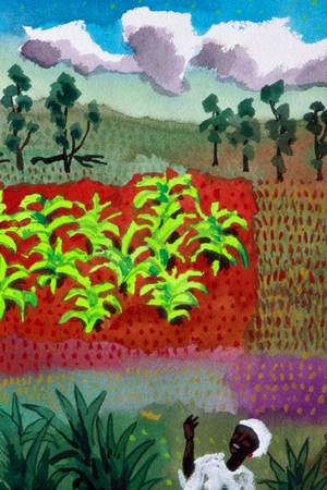 Banana Fields, Kenya, 2001 (watercolour)