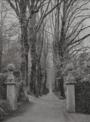 Garden Entrance at Pentillie Castle, Cornwall (b/w photo)