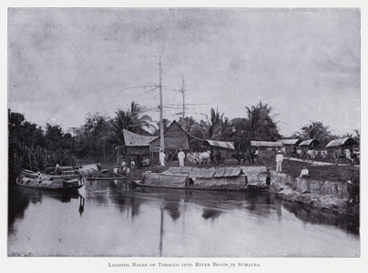 Loading bales of tobacco into river boats in Sumatra (b/w photo)