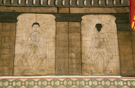 Thailand: 19th century diagrams placed during the reign of Rama III (1787 - 1851) showing the body's acupressure points, Wat Pho (Temple of the Reclining Buddha), Bangkok