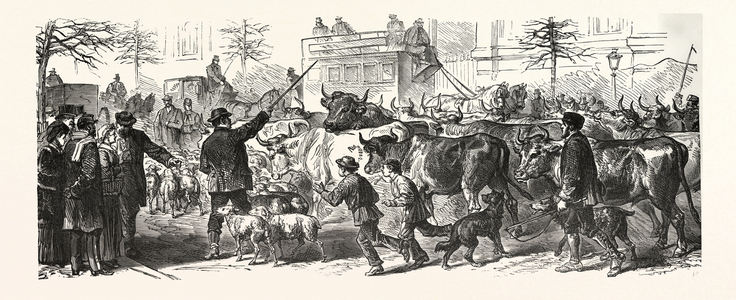 Franco-Prussian War: Flee of the Country People with Their Herds to Paris, France