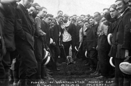 Funeral of 'Worthington', mascot cat, RNAS Polegate (b/w photo)