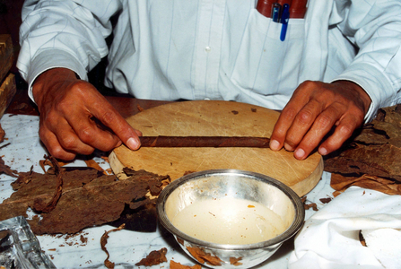 Cigar production, 1998 (photo)