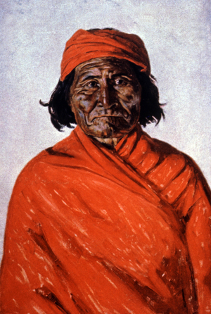 Geronimo, c.1900 (illustration)