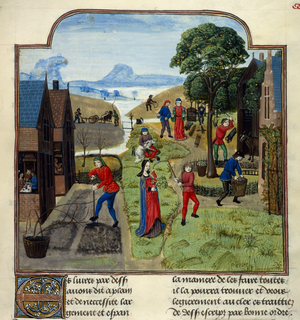 Agricultural labours