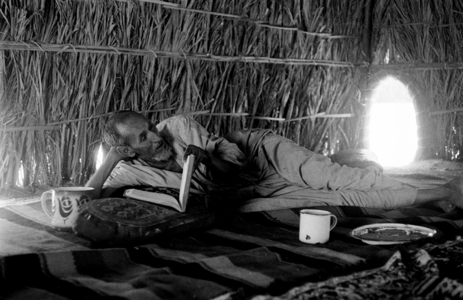 In a palm grove - Muslim dignitaries, Mauritania 1974 (photograph)
