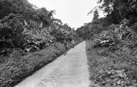 Puerto Viejo, 1991 (photo)