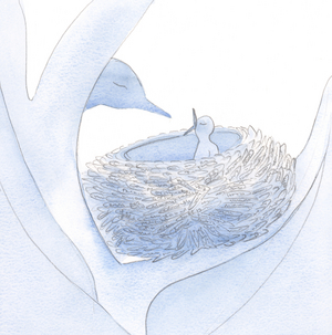 The Church's rules and recommendations are like the twigs which support a nest where a chick can be fed in security, freedom and joy, as by God., 2001 (w/c on paper)