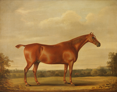 A Bay Stallion in a Landscape