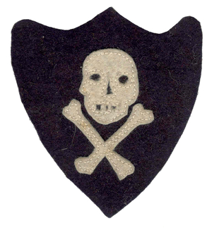 American shoulder patch of the 20th Division