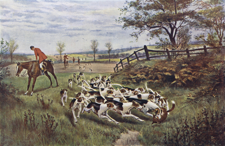 Forty Minutes Over The Grass (colour litho)