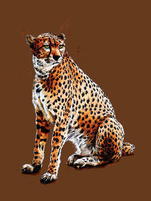The Cheetah on Burnt Orange, 2020, (pen and ink)