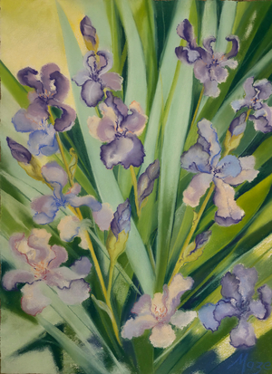 Irises in a border, 2023 (pastel on paper)