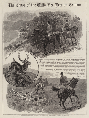 The Chase of the Wild Red Deer on Exmoor (engraving)