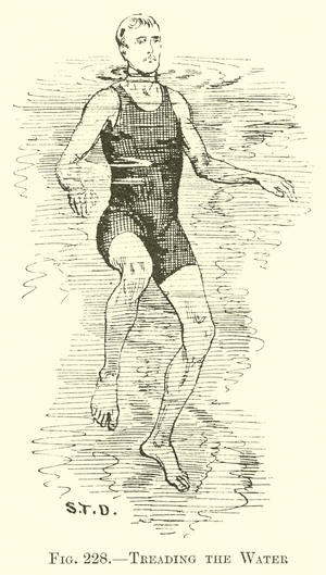 Treading the Water (engraving)