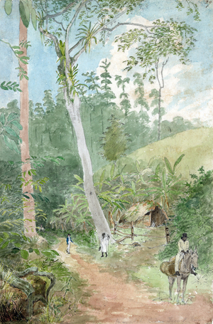 Drawing, watercolour, black ink, pencil. Jamaica, Plantain walk, watchman's hut, Negro watchman and book-keeper. Negro on a mule.