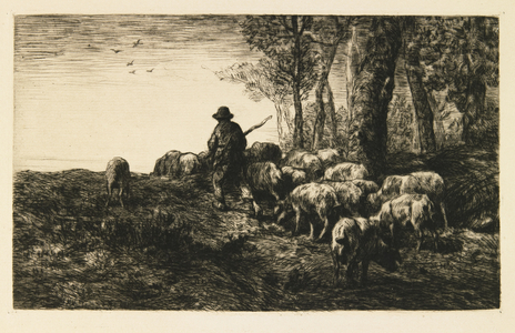 Herd of Pigs with Swineherd, 1878 (drypoint)