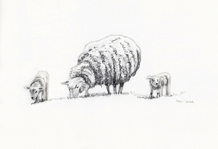 Three of Us, 2023, (pencil drawing)