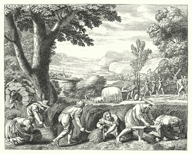Harvest scene (engraving)