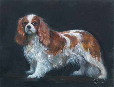 A Blenheim Cavalier King Charles Spaniel (oil on board)