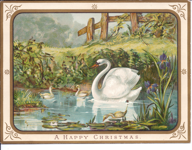 A Victorian Christmas card of a swan and cygnets on a pond, c.1880 (colour litho)
