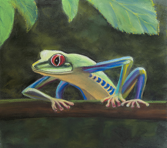 Tree frog, 2020 (pastel)