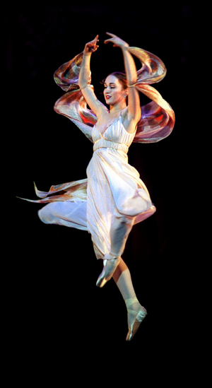 The Nutcracker
