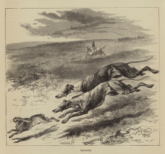 Coursing (engraving)