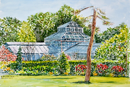Snug Harbor Greenhouse, 2015 ( watercolor)