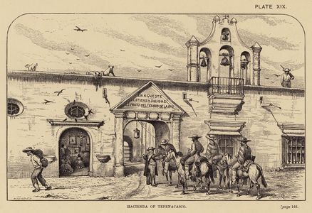 Mexico: Hacienda of Tepenacasco (engraving)