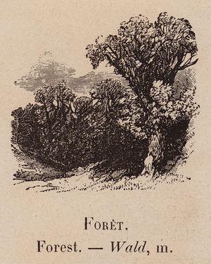 Le Vocabulaire Illustre: Foret; Forest; Wald (engraving)