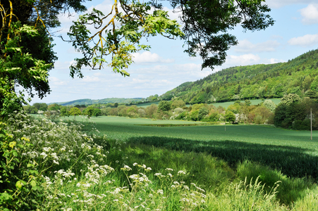 Wenlock Edge Shropshire