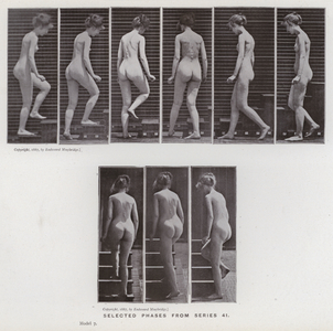 The Human Figure in Motion: Selected phases from series 41 (b/w photo)
