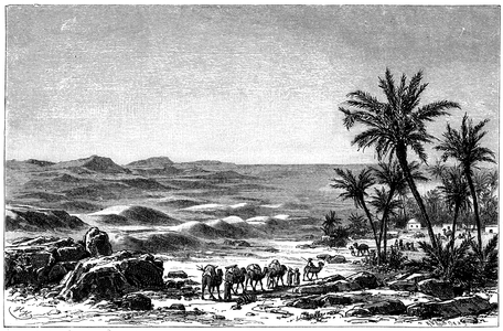 Sahara desert (right: oasis, in mid: dunes). With draw well and date palms
