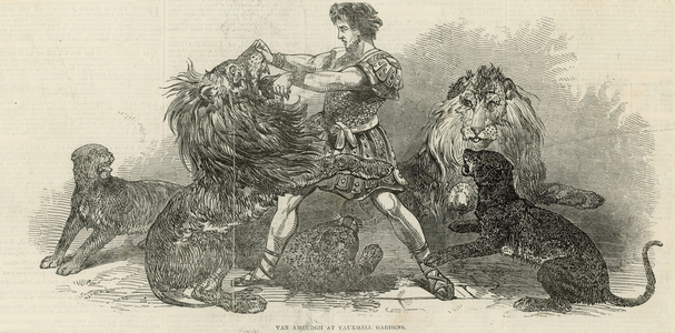 Isaac van Amburgh at Vauxhall Gardens (engraving)