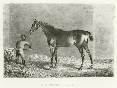 Sir Peter Teazle, foaled 1784 (b/w photo)