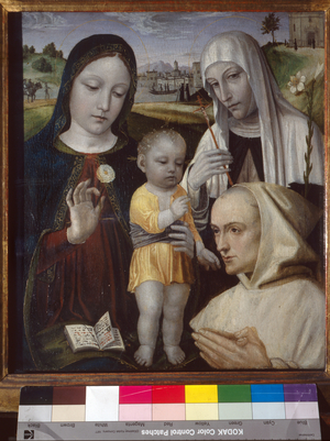 Madonna and Child, Saint Catherine of Siena and a Carthusian monk, 1488-94 (tempera on panel)