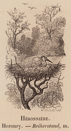 Le Vocabulaire Illustre: Heronniere; Heronry; Reiherstand (engraving)