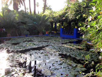 9395N Marakech Garden Majorelle 2009