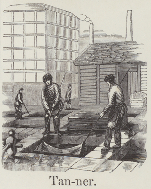 Tanner (engraving)