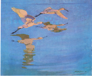 Spoonbills in low sunlight (litho)