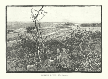 Banstead Downs (engraving)