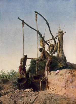 Luxor, the Shadouf on the Nile, another means of Irrigation in Upper Egypt (coloured photo)