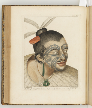Illustration from 'A journal of a voyage to the South Seas : in His Majesty's ship, the Endeavour', 1794 (hand-coloured engraving)
