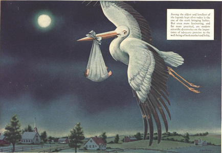 Stork and Baby Magazine Plate, USA, 1950s