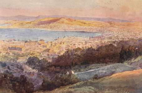 New Zealand: Wellington (colour litho)